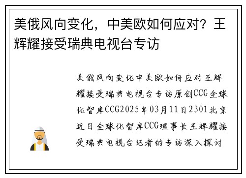 美俄风向变化，中美欧如何应对？王辉耀接受瑞典电视台专访