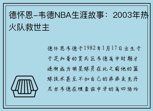 德怀恩-韦德NBA生涯故事：2003年热火队救世主