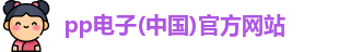 pp电子